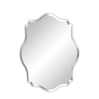 P&P Silver Irregular Wall Mirror 50x70cm Beveled Edge