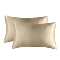 1-Pair Champagne Luxury Satin Silk Pillowcase for Hair and Skin - Smooth Cooling Pillow Cover with Envelope Closure - King (20x36")