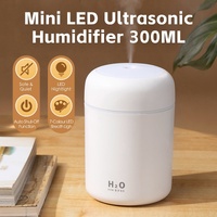 Living Today 300ml Mini LED Ultrasonic Humidifier