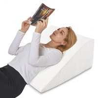 Clevinger Memory Foam Back Support Bed Wedge Pillow