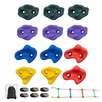 Ninja Tree Climbing Kit, 12 Tree Climbing Holds, 6 Ratchet Straps, and a Climbing Ladder, Climbing Rocks for Kids and Adults Climber, Various Colors a