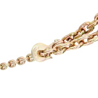Transport Binder Chain, 220 kg Working Load Limit, 3/8'' x 20' G80 Tow Chain Tie Down with Grab Hooks, DOT Certified, Galvanized Coating Manganese Ste