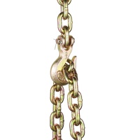 G80 Transport Binder Chain, 10 mm x 316 cm Tow Chain with Clevis Grab Hooks, 3.22T Safe Working Load, Heavy Duty Trailer Logging Chain for Transportin