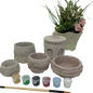 Mixed, hand-made succulent planters x 5