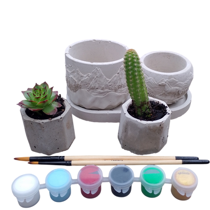 Succulent planter, landscape kit
