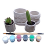 Succulent planter, landscape kit