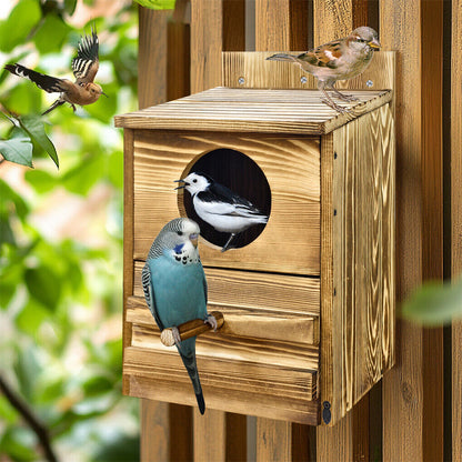Owl Nesting Box Bird Feeder Paulownia Wood Acrylic