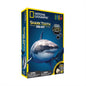 Shark Tooth Dig Kit