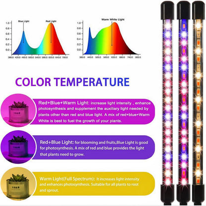 NOVEDEN Plant Grow Light 4 Head Grow Lamp