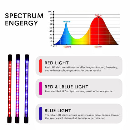 NOVEDEN Plant Grow Light 4 Head Grow Lamp