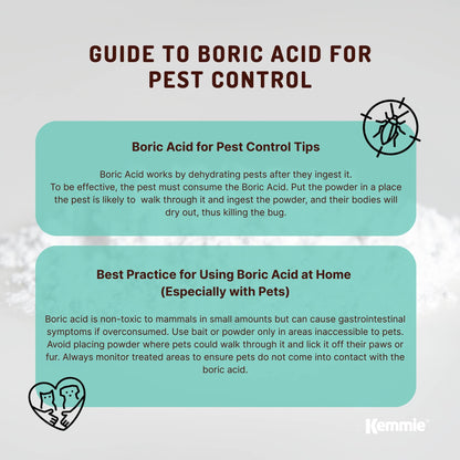 100g Boric Acid Powder High Purity Fully Soluble Granule Pest Ant Cockroaches