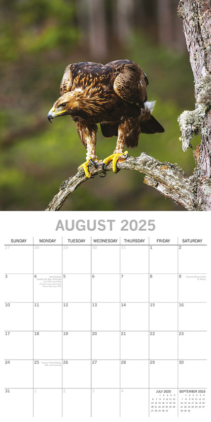 Country Wildlife - 2025 Square Wall Calendar Animals 16 Months Premium Planner