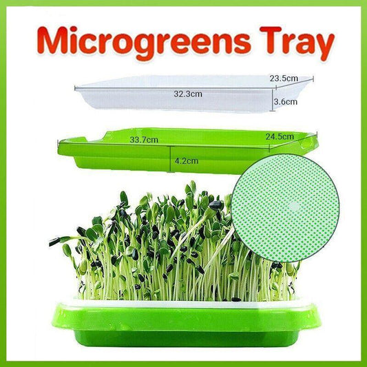 Double Layer Microgreens Tray for Hydroponic Seeding Germination Wheatgrass