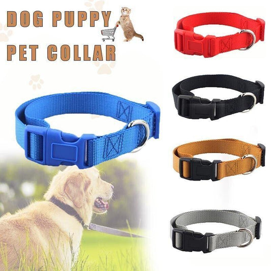 XS Size Dog Puppy Pet Collar Adjustable Nylon Toy Pink Blue Red Black - Grey