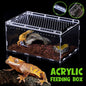 Clear Pet Box Slide Lid Reptile Breeding Habitat Panoramic View Terrarium