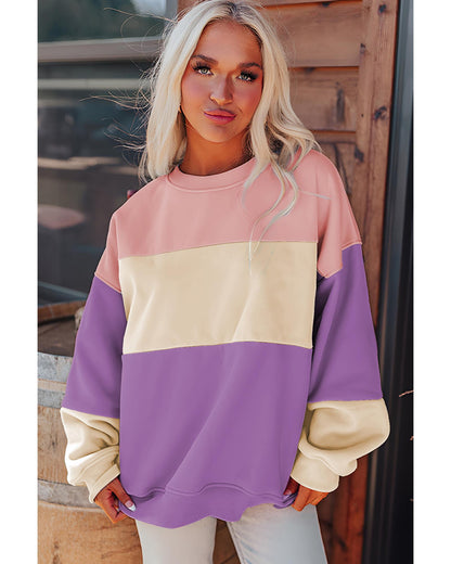 Meadow Mauve Colorblock Patchwork Drop Shoulder Sweatshirt - L
