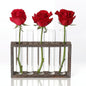 Minimalist Hydroponic Glass Vase With Wooden Frame For Coffee Shop Decor