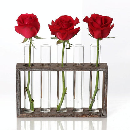 Minimalist Hydroponic Glass Vase With Wooden Frame For Coffee Shop Decor