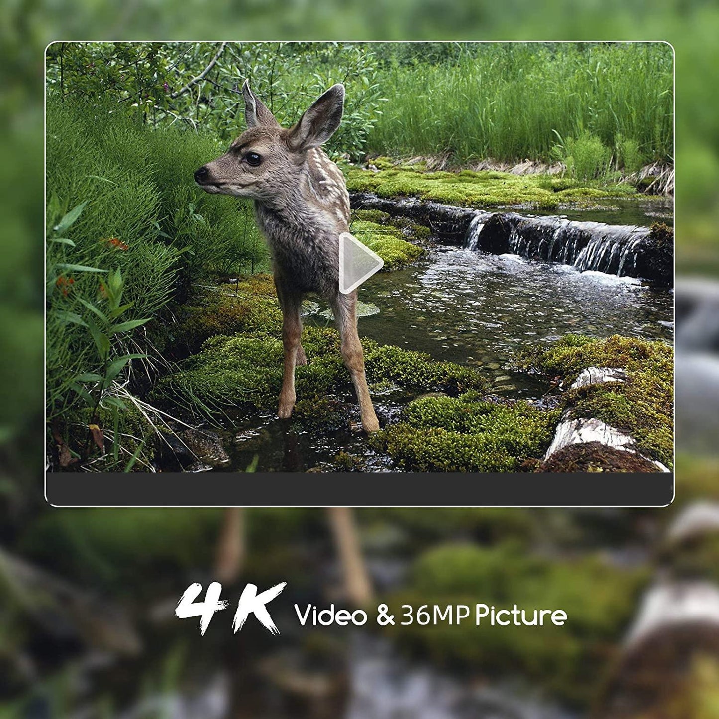 Outdoor Hunting Camera with Wifi900pro for Remote Viewing of Photos / Videos