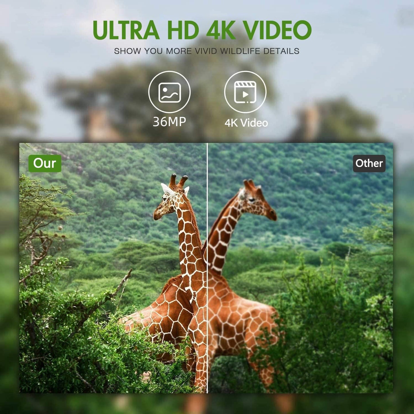 Outdoor Hunting Camera with Wifi900pro for Remote Viewing of Photos / Videos