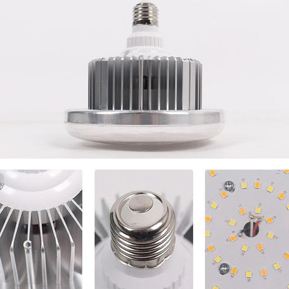 Desktop Photography Stand Kit with Mushroom Fill Light - 80W 120Mm