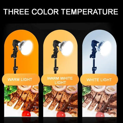 Desktop Photography Stand Kit with Mushroom Fill Light - 80W 120Mm