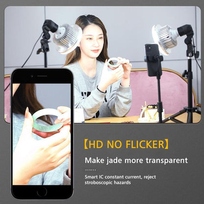 Desktop Photography Stand Kit with Mushroom Fill Light - 80W 120Mm