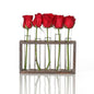 Minimalist Hydroponic Glass Vase With Wooden Frame For Coffee Shop Decor