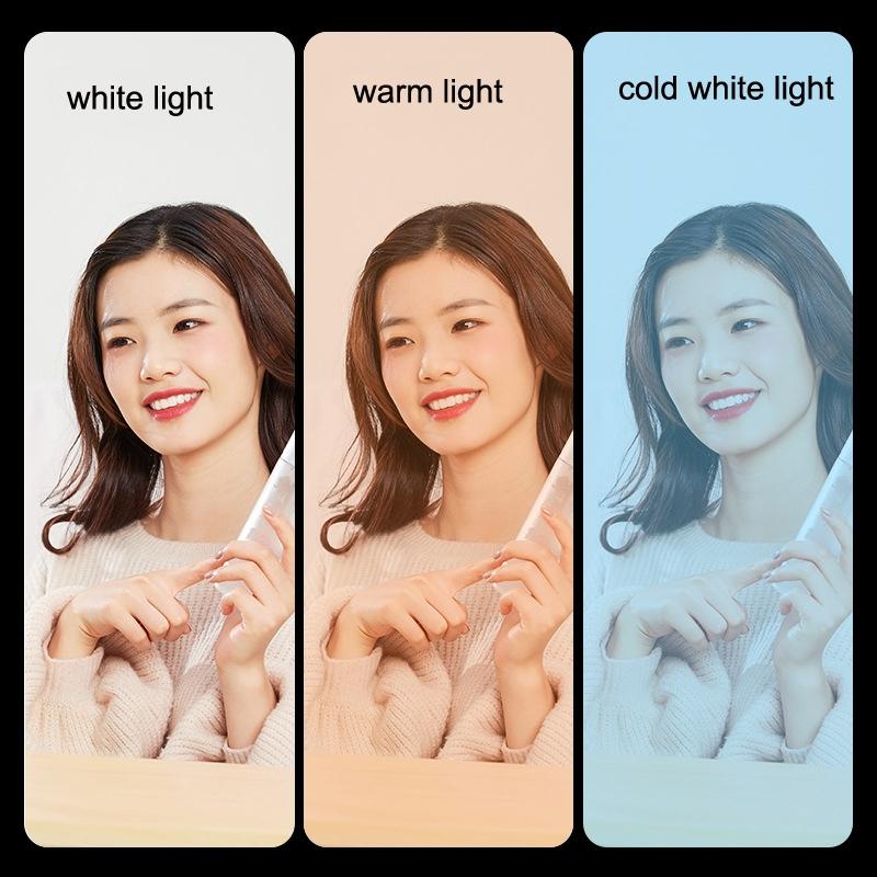 Portable Beauty Live Fill Light For Mobile Phones - Foldable Charging Model