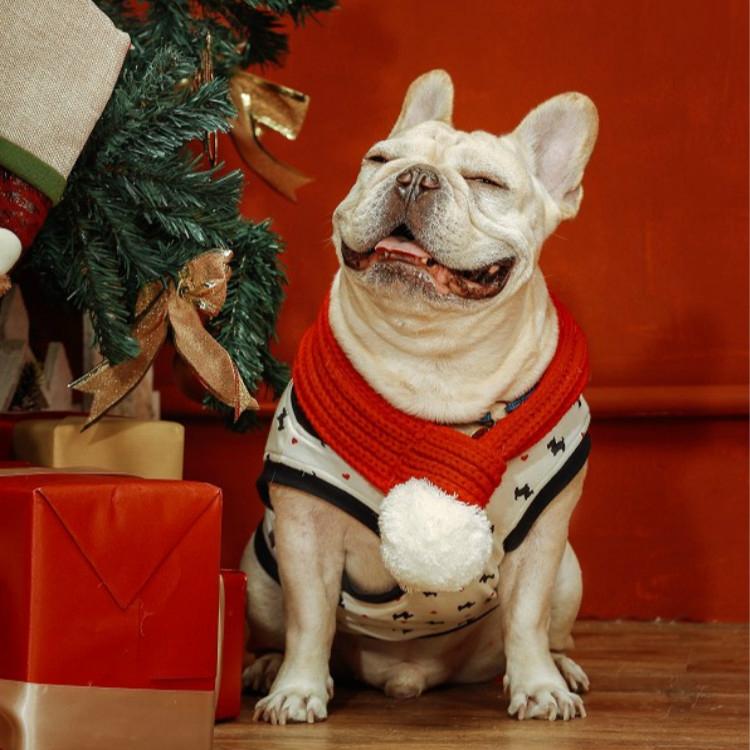 Pet Christmas Wool Scarf Medium & Large Dog Saliva Towel - Size S