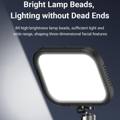 Live Portrait Soft Light Dual Bracket with Four-colour Fill