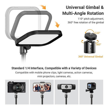 Live Portrait Soft Light Dual Bracket with Four-colour Fill