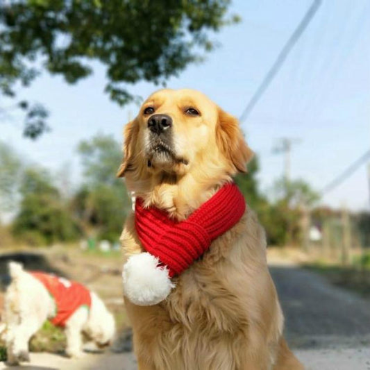 Pet Christmas Wool Scarf Medium & Large Dog Saliva Towel - Size L