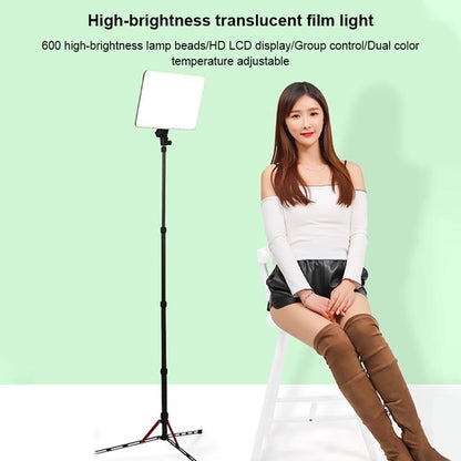 600 Led Flat Fill Light with Remote & Display - Ttv-600