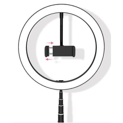 Professional Collapsible Led Ring Light For Mobile Phones