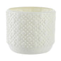 Versatile Vase For Wet And Dry Flowers - Glazed Finish Durable Design - Milk White