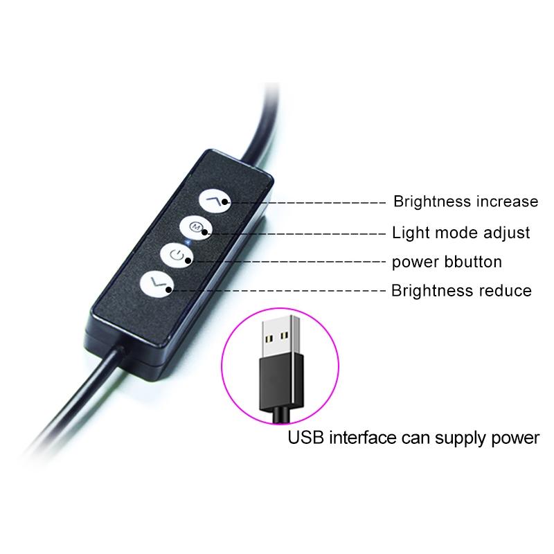 Portable Double Arm Fill Light With Phone Clip - Adjustable Brightness Black