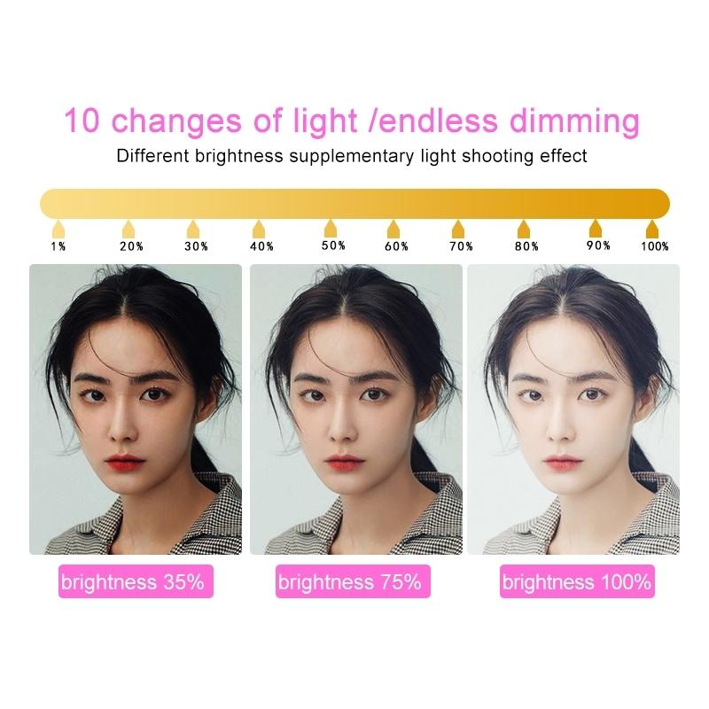 Portable Double Arm Fill Light With Phone Clip - Adjustable Brightness Black