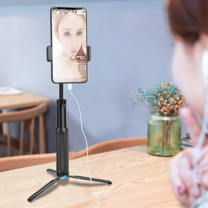 Telescopic Selfie Stick For Action Cameras