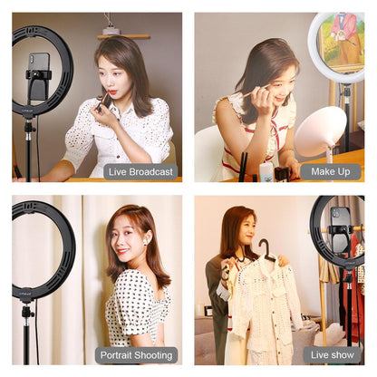 10.2 Ring Light with Tripod Usb 3 Modes Dual Colour Diffuse Light Phone Clamp with Remote - Black