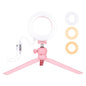 12cm Led Ring Light with Usb 3 Modes Dimmable Cold Shoe Tripod Ball Head - Pink
