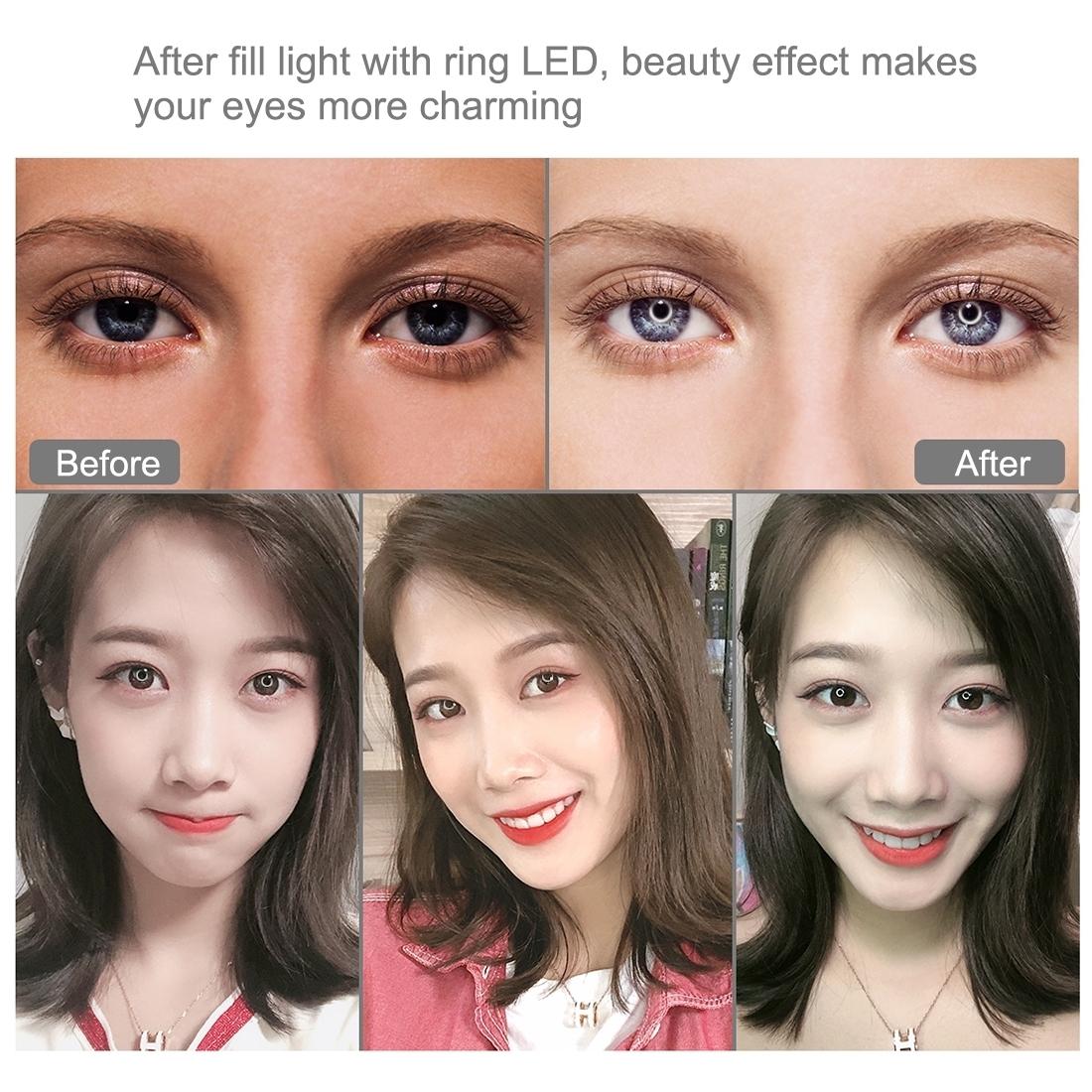 10.2 Curved Led Ring Light with Tripod & Remote for Vlogging & Photography - Pink