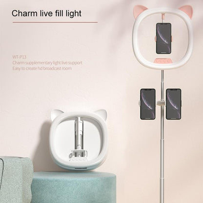 Beauty Eye Care Filling Light Holder for Live Streaming - White