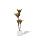 Faux Cordyline fruticosa Tree