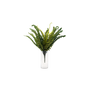 Faux Boston Bush Stem