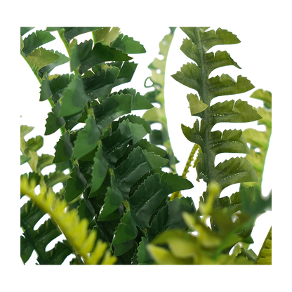 Faux Boston Bush Stem