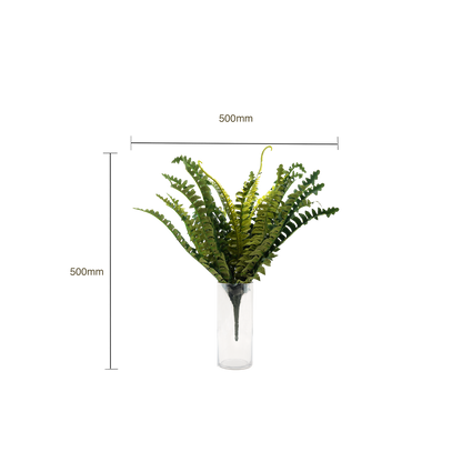Faux Boston Bush Stem
