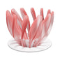 V60 Pour Over Coffee Dripper - Heat Resistant Brew Filter Cone - Pink(White Base)