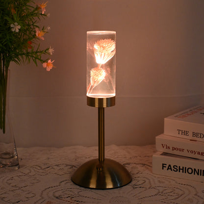 Dandelion Grass Eternal Flower Acrylic Table Lamp - Color-Changing LED, USB Rechargeable, Touch Control