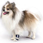 3 Pcs Size XS Dark Blue Supportive Dog Leg Brace - Adjustable Carpal/Tarsal Splint for Injury & Arthritis Relief